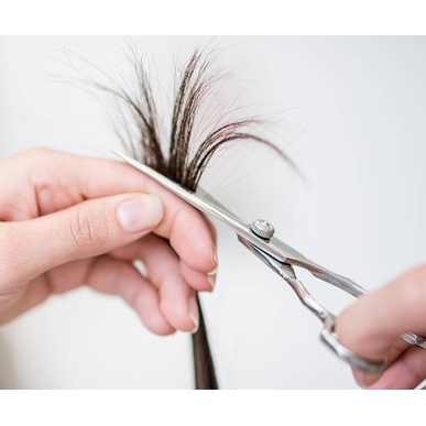 みなかみ町の訪問サービス　