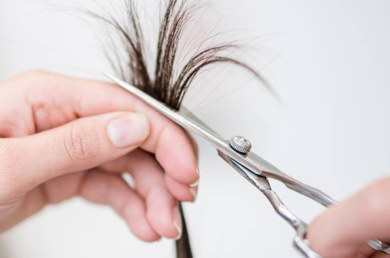 みなかみ町の訪問サービス　