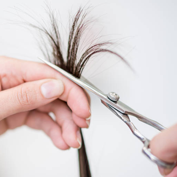 みなかみ町の訪問サービス　